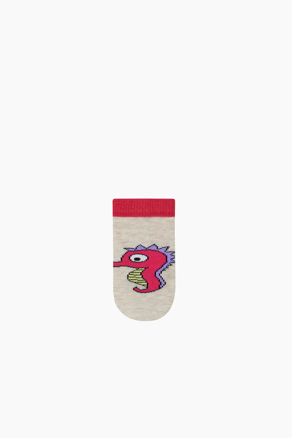 Bross 3'lü Paket Deniz Canlıları Desenli Patik Bebek Çorabı