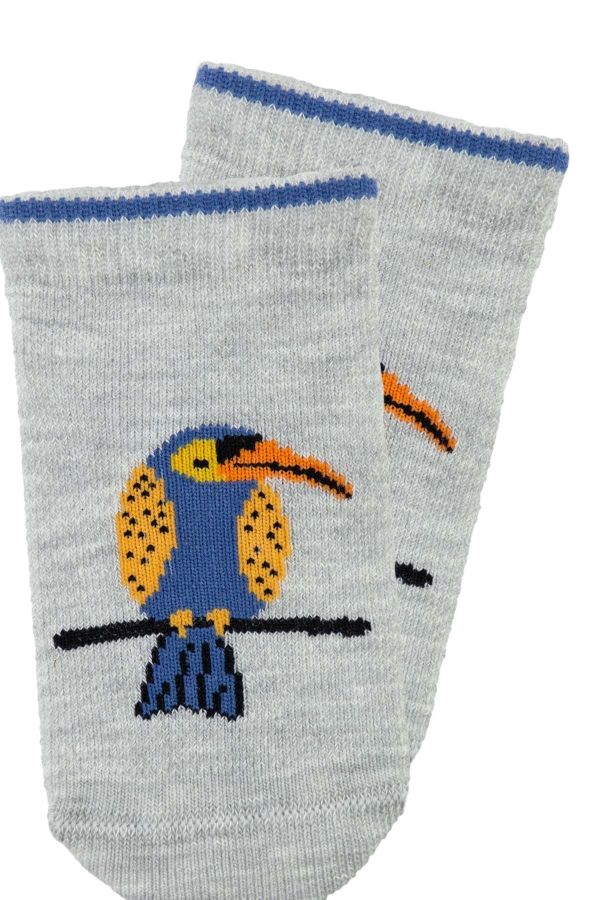 Bross Bebek 3lü Kuş Desenli Patik Çorap