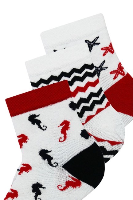 Bross Deniz Temalı Kadın Soket Çorap - Thumbnail