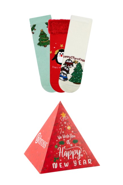 BROSS - Bross Noel Kutulu Havlu Baskılı Çocuk Çorabı