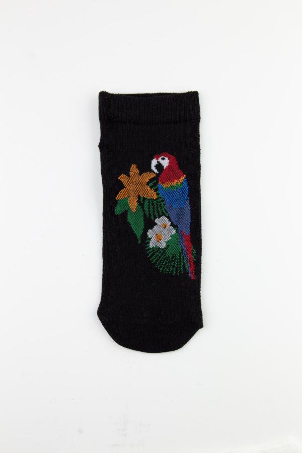Bross Papağan/ Flamingo Desenli Kadın Patik Çorap