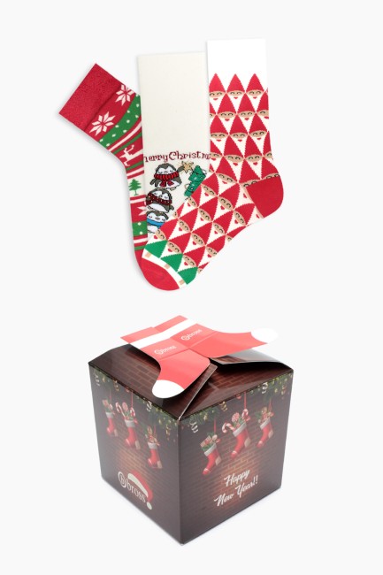 Bross - Bross Boxed Christmas Patterned Kids-Family Socks Combination
